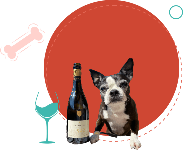 Dog with wine bottle