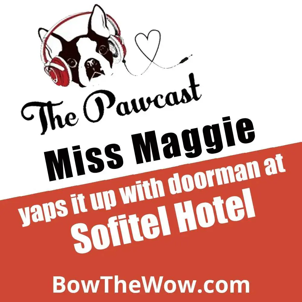 Album cover of yaps it up with doorman at Sofitel Hotel podcast
