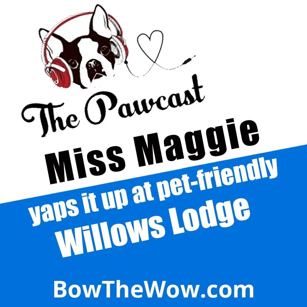 Album cover of The Pawcast Miss Maggie Yaps it Up pet-friendly Willows Lodge podcast