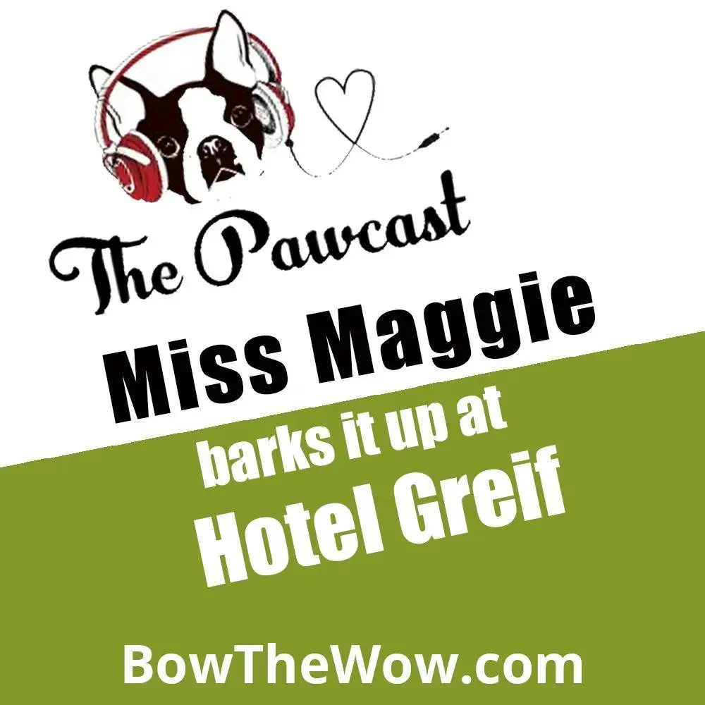 Album cover of The Pawcast Miss Maggie Yaps Barks it up at Hotel Greif podcast