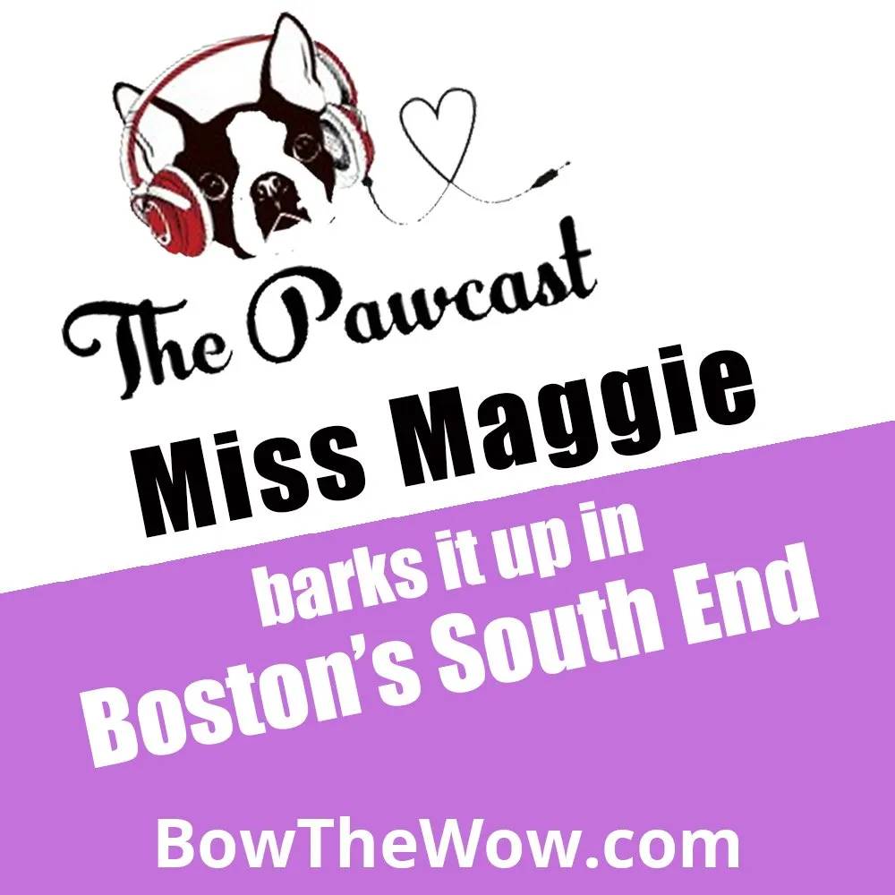 Album cover of barks it up in Boston's South End podcast
