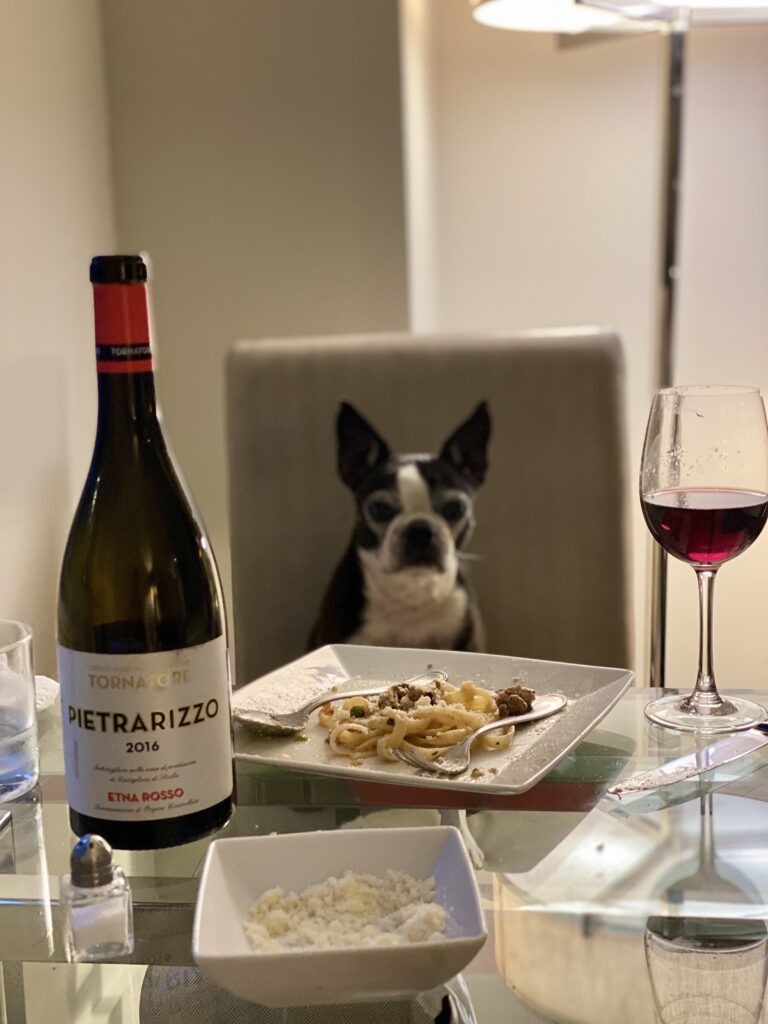 A dog sitting on a dinning table, tornatore pietrarizzo etna rosso 2016