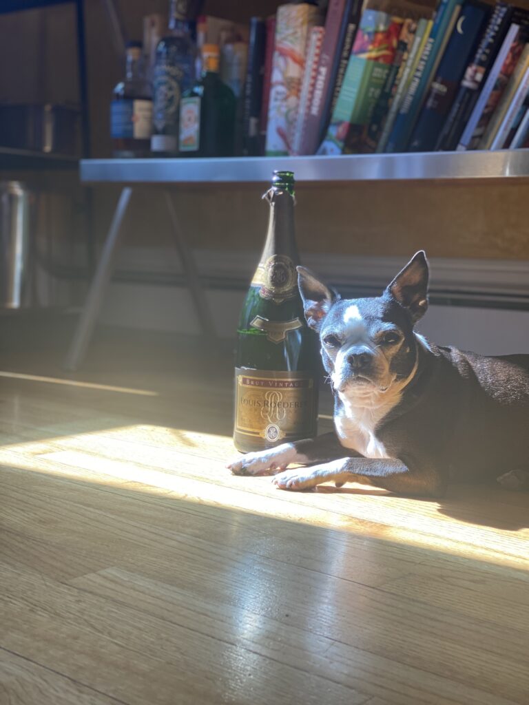 a dog sitting near a wine bottle in a room