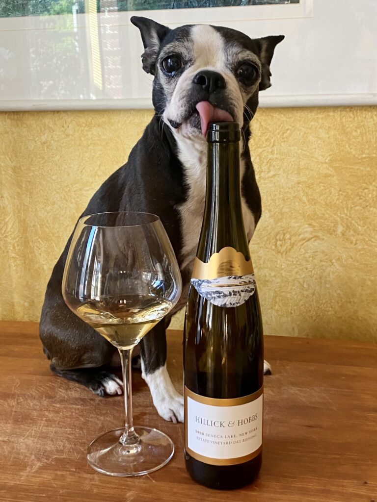 a dog seating next to a wine bottle and a glass
