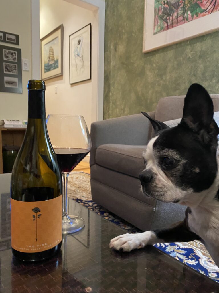 a dog looking at the wine bottle and glass
