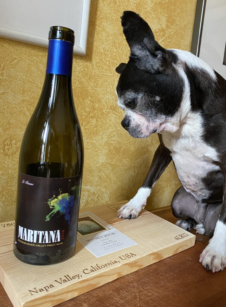 A dog and a wine bottle
