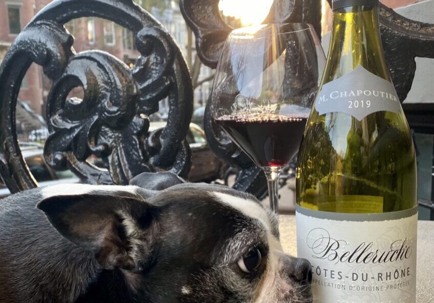 Bellaruche wine bottle with a dog, m chapoutier belleruche rose