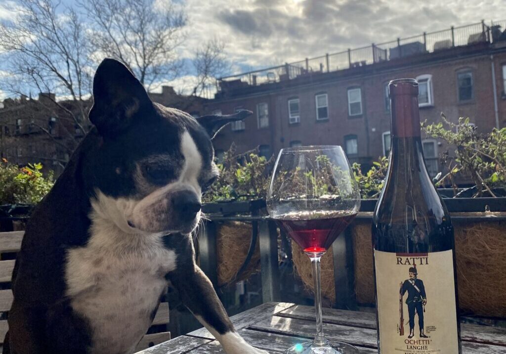 Maggie Recommends a Yummy Italian Wine