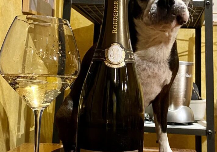 A beautiful dog sitting beside the wine bottle, louis roederer champagne