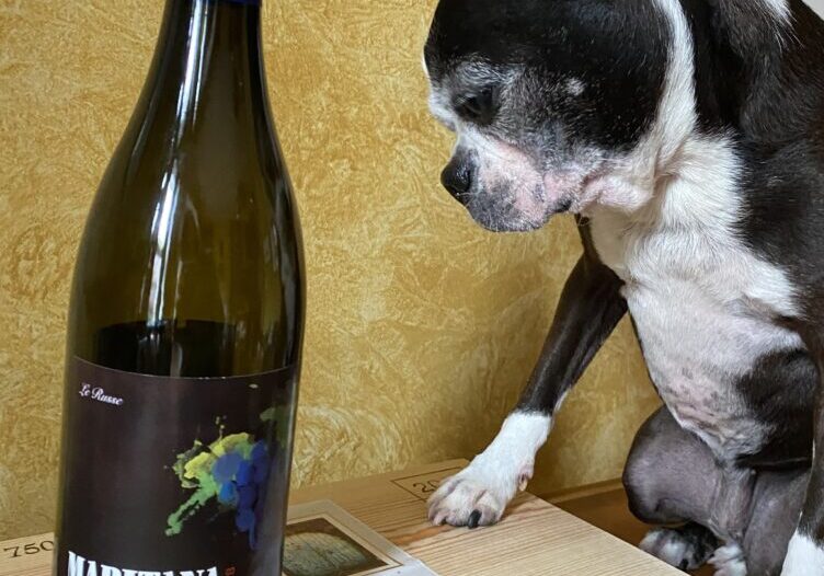 A dog and a wine bottle