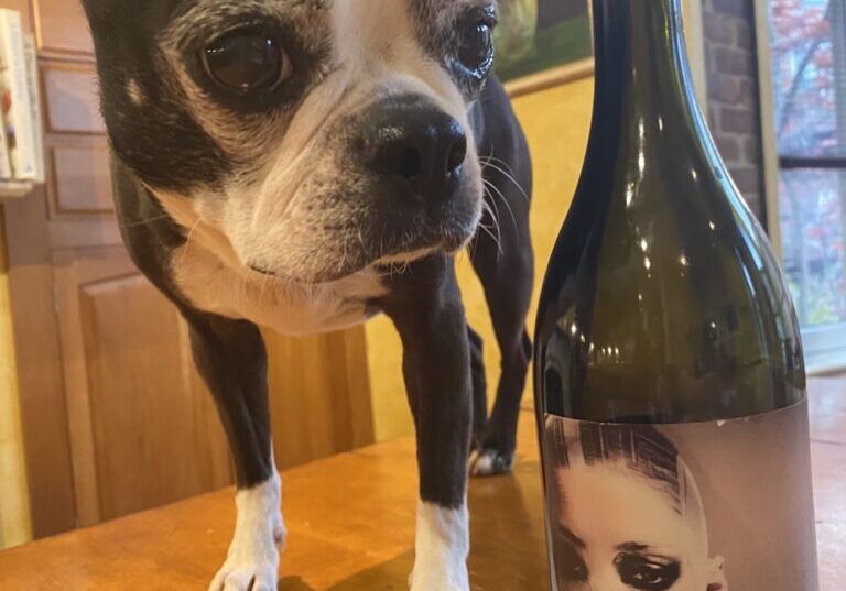 a dog standing next to a wine bottle